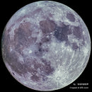 銘匠光学 TTArtisan 500mm F6.3 フルフレーム望遠マニュアルフォーカスレンズ