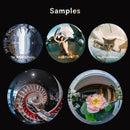 AstrHori MF 8mm F2.4 円周魚眼レンズ（富士フイルム GFX / ハッセルブラッド XCD 対応）