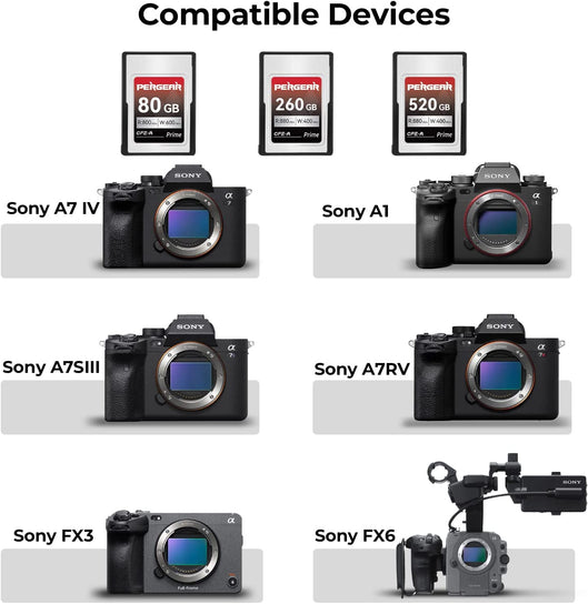 Pergear CFexpress Type Aカード プロフェッショナル (80GB) Sonyカメラ用に設計