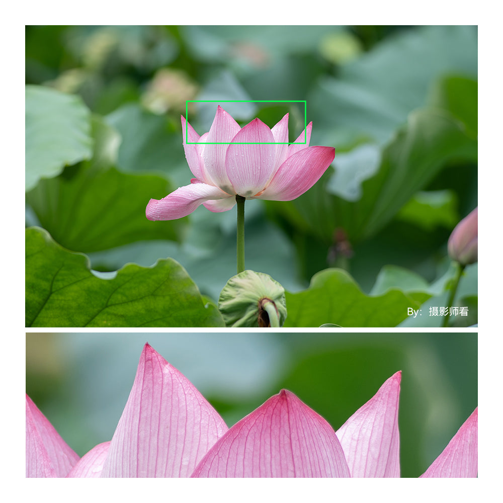 美品 PRAKTICAR 500mm F5.6 返品保証 中判 望遠レンズ 銘匠光学 TTArtisan 500mm f/6.3 Telephoto | 焦点工房