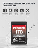 Pergear VPG200 1TB Master 4.0 CFexpress Type A メモリカード