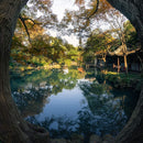 七工匠 7Artisans 7.5mm F2.8 II 魚眼レンズ