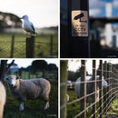 TTArtisan 50mm F0.95 単焦点レンズ 富士、ニコン、マイクロフォーサーズ、ソニー カメラ用