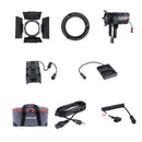 Aputure Light Storm 60x LEDビデオライト バーンドア付属（予約販売）