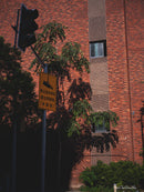 AstrHori 55mm F5.6 マニュアルレンズ Fuji GFXカメラ に対応