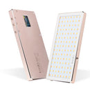 Iwata GL-01 117LED 二色調光可能 Ledビデオライト