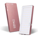 Iwata GS-01 94 LED 二色調光可能 Ledビデオライト