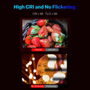 Iwata Master S LED RGBライトスティック 5色ライトエンジン