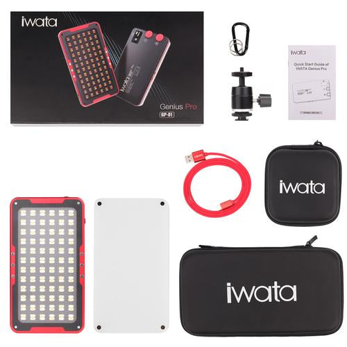 Iwata Pro 144 LED オンカメラLEDビデオライト